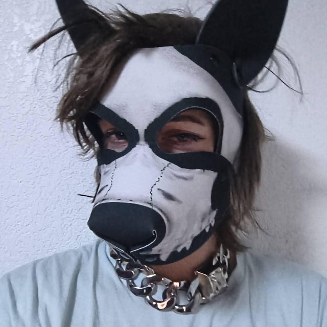 原宿　DOG 骸骨マスク Pup Rex Dog Skull V1 Neoprene Pup Hood - Etsy