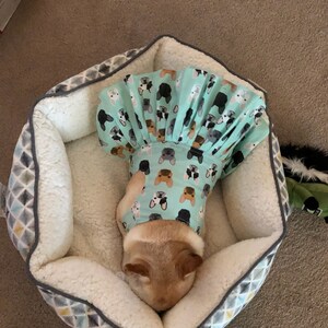 Tamara Evers added a photo of their purchase