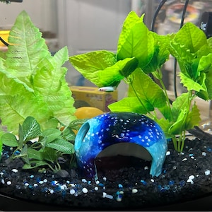 Allison added a photo of their purchase