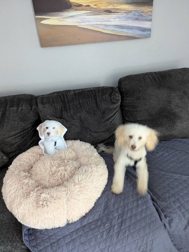 Custom Pet Pillow | Personalized Pillow | Pet Memorial Gift | Custom shaped pillow | Dog Pillow | Cat Pillow | Pet Lover Gift