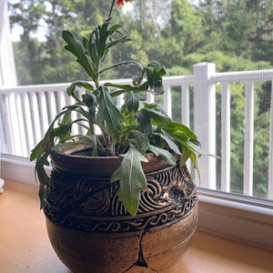 Ali added a photo of their purchase
