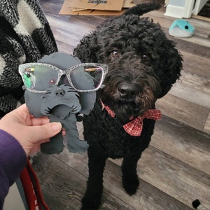 Ashley added a photo of their purchase