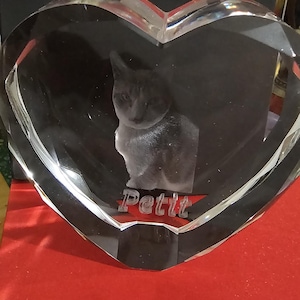 Aline added a photo of their purchase