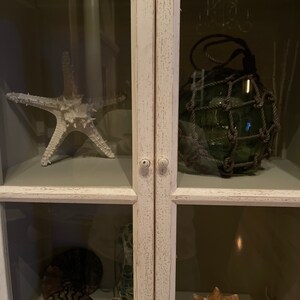 Shell Bits & Pieces Shards Beach Sand Tiny Little Shells for | Etsy