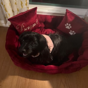 Laurýn added a photo of their purchase
