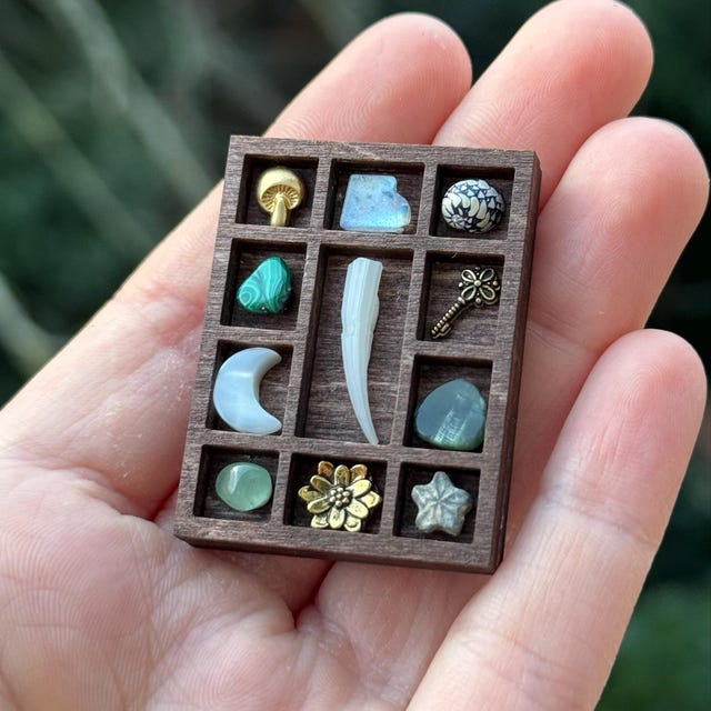 ウミユリの化石/妖精コイン 30枚 - Etsy 日本