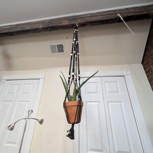 Meghan added a photo of their purchase