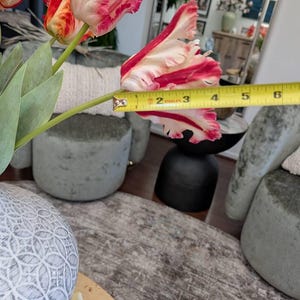 Arlena added a photo of their purchase