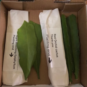 Marie a ajouté une photo de son achat