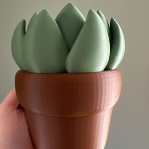 Alexa added a photo of their purchase