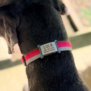 Michelle added a photo of their purchase