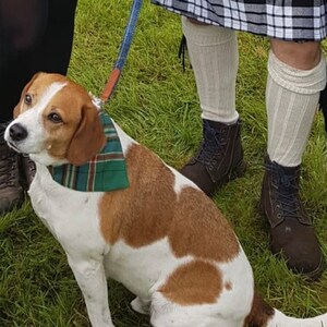 hebridean heather tartan tie