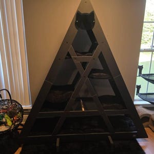 Shanna added a photo of their purchase