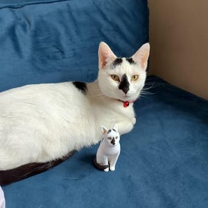 Sarah a ajouté une photo de son achat