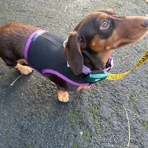 Imogene added a photo of their purchase