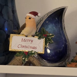 Martine heeft een foto van de aankoop toegevoegd