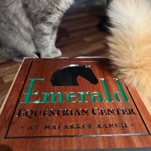 Ed added a photo of their purchase