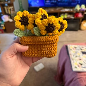 Allie added a photo of their purchase