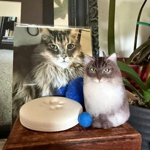 Erika added a photo of their purchase