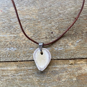 Cody added a photo of their purchase