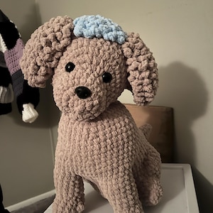 Kylie added a photo of their purchase