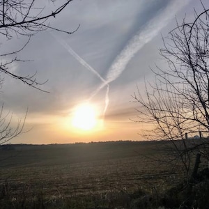 Angela heeft een foto van de aankoop toegevoegd