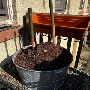 Sonya added a photo of their purchase