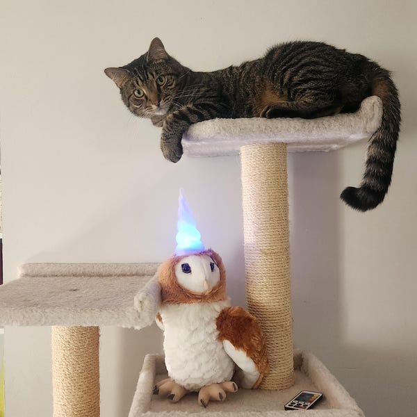 Classic Decoder Ring Caesar Cipher Secret Code Toy Novelty Educational ...