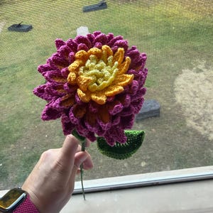 Samantha added a photo of their purchase