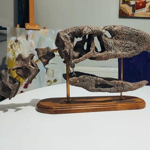 Emre A. added a photo of their purchase