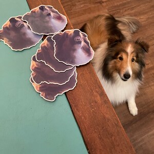 K added a photo of their purchase
