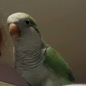 Jessica added a photo of their purchase