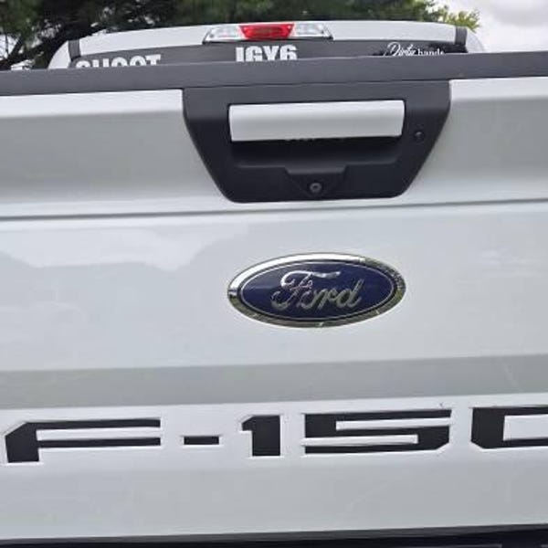 2018-2020 Ford F-150 Tailgate Letter F150 Vinyl Inserts Decals Stickers ...