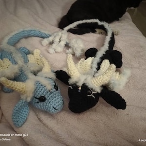 Ana added a photo of their purchase