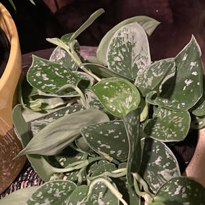 Sharon added a photo of their purchase