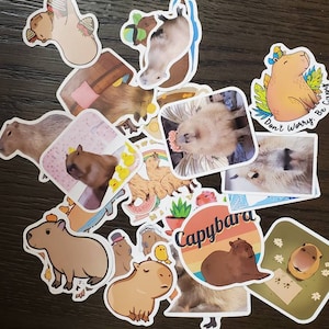 Pablo added a photo of their purchase