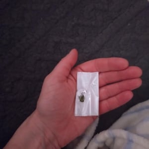 Belinda heeft een foto van de aankoop toegevoegd