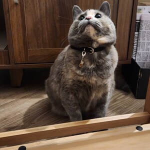 Audrey hat ein Foto des gekauften Artikels hinzugefügt