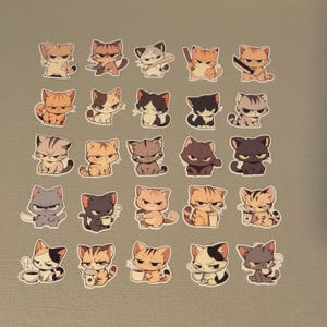 不機嫌そうな顔をしたかわいい猫のクリップアート カワイイ猫 PNG 子猫