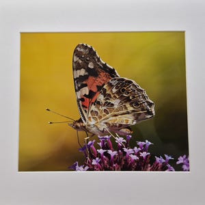 Jan added a photo of their purchase
