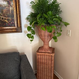 kim added a photo of their purchase