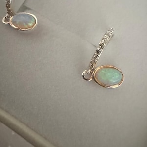 Haley added a photo of their purchase
