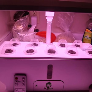 Linda hat ein Foto des gekauften Artikels hinzugefügt