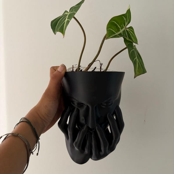 Crying Woman Wall Planter, Emotional Face Mask Planter, Indoor ...