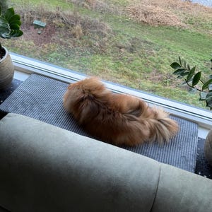 Wendy added a photo of their purchase