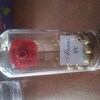 Beauty and the Beast Mini Glass Wedding Favors for Guests, Wedding ...