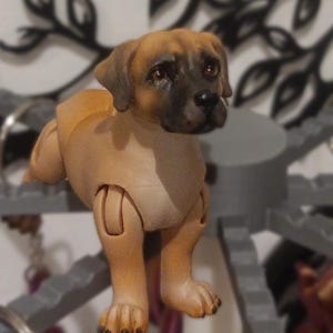 Mirians added a photo of their purchase