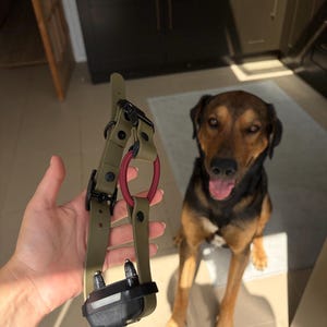 Courtney added a photo of their purchase