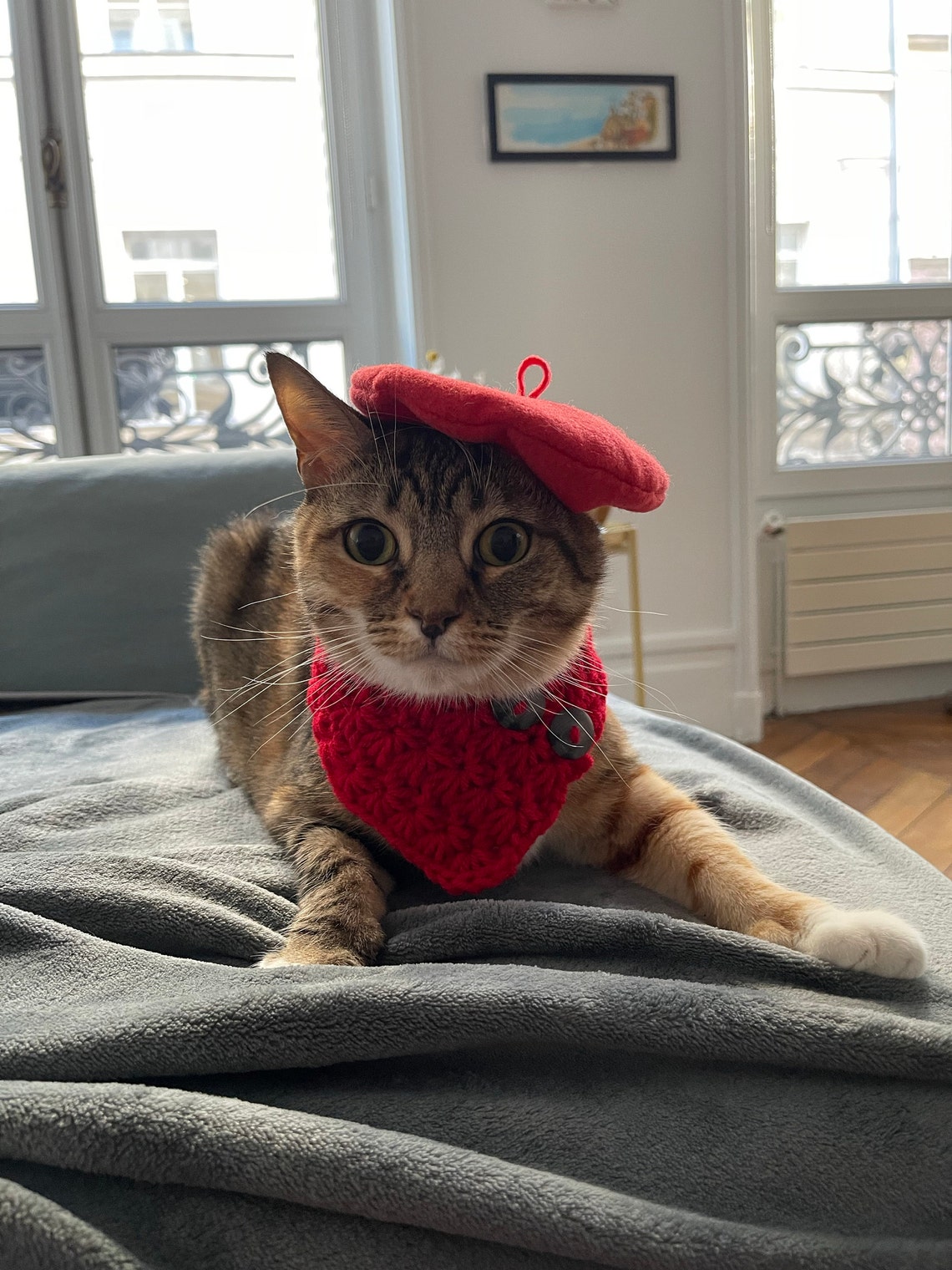 Customer photo of a pet with the Beret Personalized for small pet Raspberry