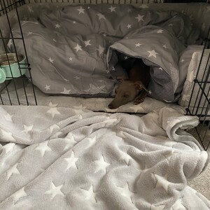 Jodi ha aggiunto una foto del proprio acquisto